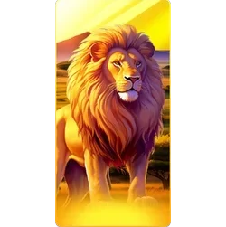 Lion
Safari